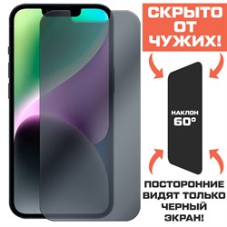 Стекло защитное гибридное Антишпион Krutoff для iPhone 14 Pro