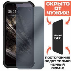 Стекло защитное гибридное Антишпион Krutoff для Oukitel WP19