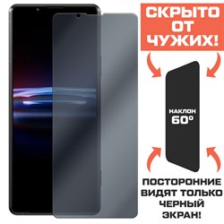 Стекло защитное гибридное Антишпион Krutoff для Sony Xperia Pro-I