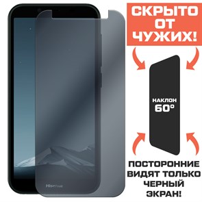 Стекло защитное гибридное Антишпион Krutoff для Hisense F25