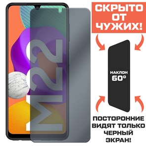 Стекло защитное гибридное Антишпион Krutoff для Samsung Galaxy M22 (M225)