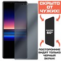 Стекло защитное гибридное Антишпион Krutoff для Sony Xperia 1 - фото 653759